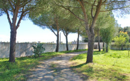 Giardino - Viale d'ingresso